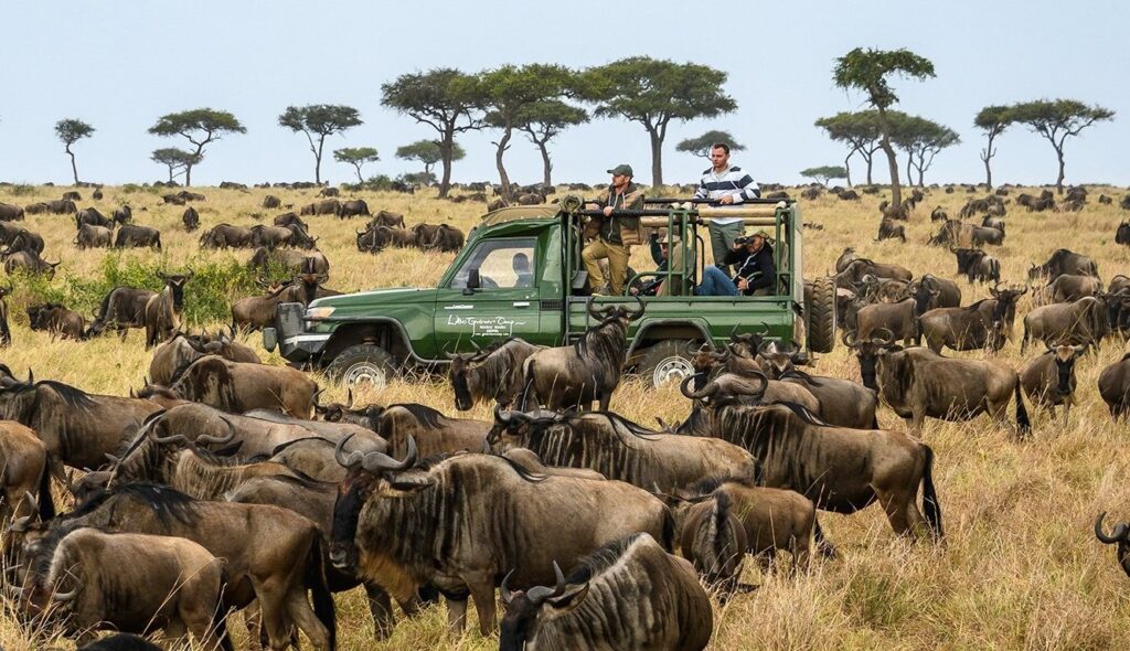 self drive in Serengeti