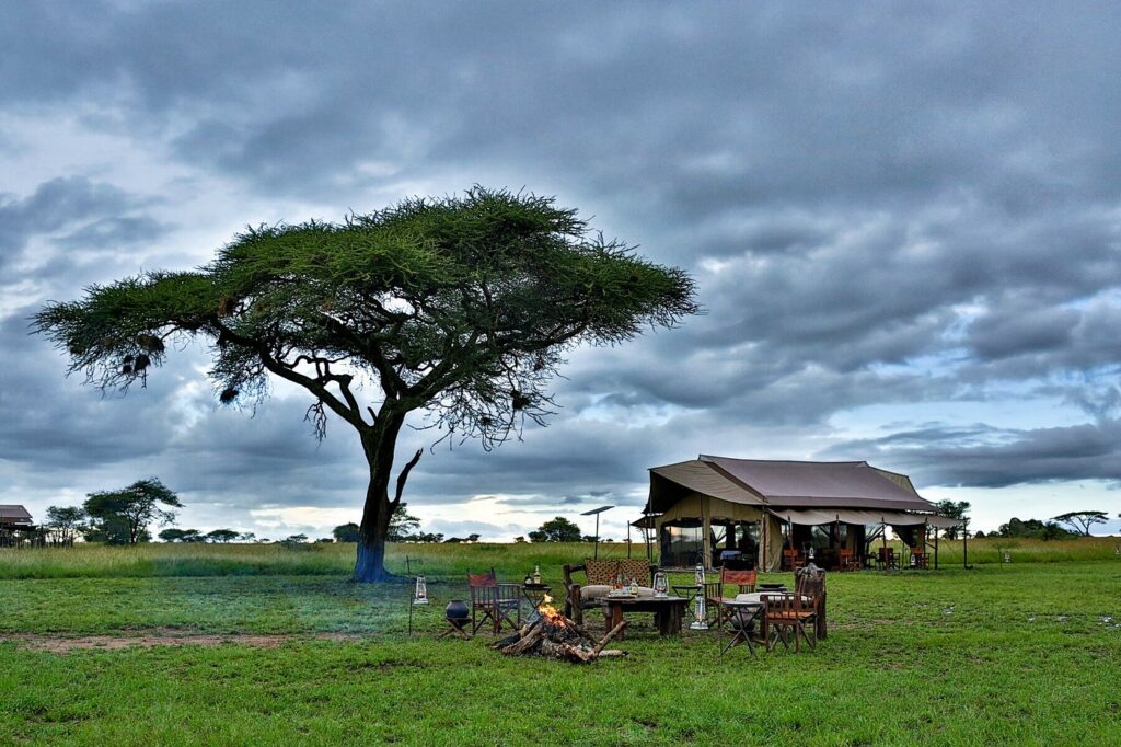 4 Days Tarangire, Serengeti and Ngorongoro crater